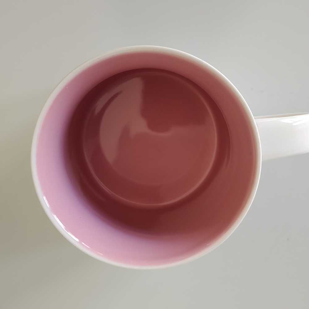 Starbucks Florida Been There Series Coffee Mug 14 Oz. Pink Green - Picture 9 of 9